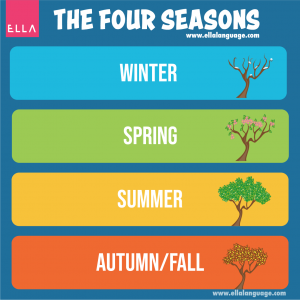 Pory roku po angielsku: zima, lato, wiosna, jesień - ELLA