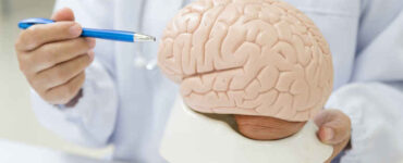 Medical English for beginner ESL students