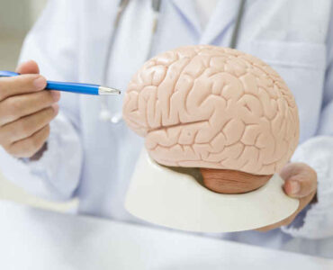 Medical English for beginner ESL students