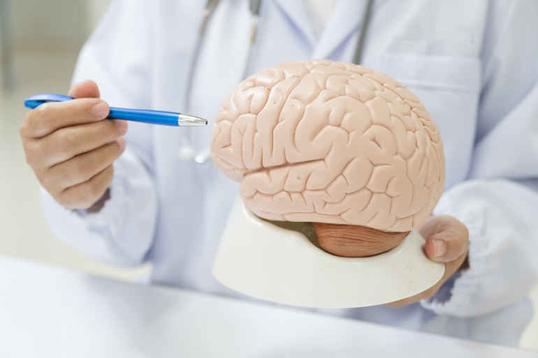 Medical English for beginner ESL students